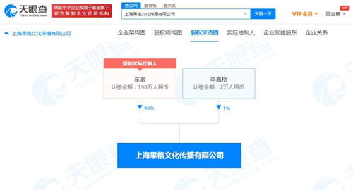 市場(chǎng)營(yíng)銷策劃 戰(zhàn)略構(gòu)建與執(zhí)行的藝術(shù)